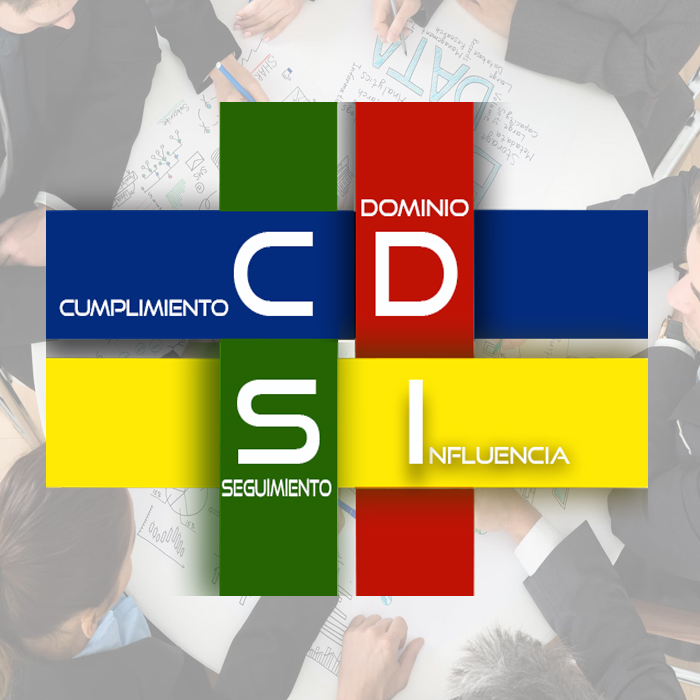 Formación en Metodología DISC